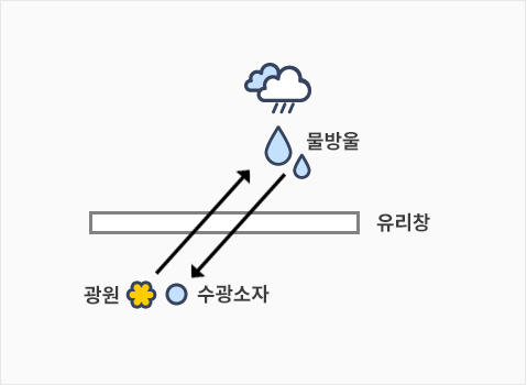 rain sensor